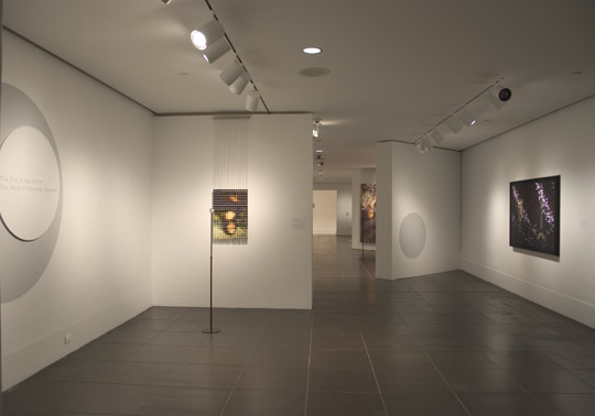 Entrance: The Eye of the Artist: The Work of Devorah Sperber, at the Brooklyn Museum 2007