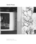 Sunek, 2005 Ljubljana Print Biennale Catalogue, Essay by Marilyn Kushner, Brooklyn Museum,  Devorah Sperber, US Representative